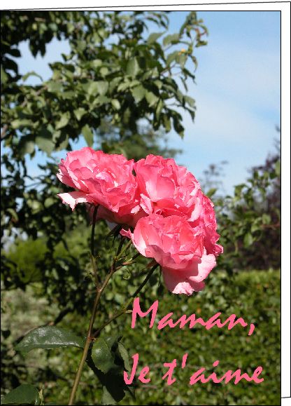 pour vous madame veronica